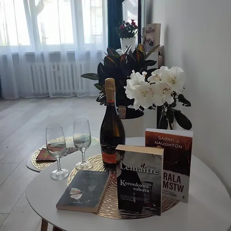 Kawalerka Apartament Ul Gieldowa